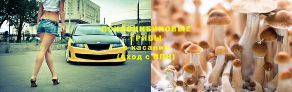 молекула духа Аркадак