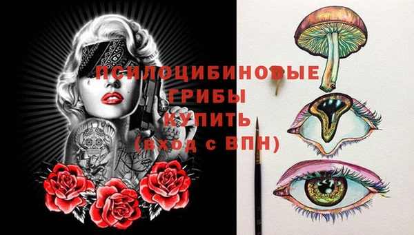 ГАЛЛЮЦИНОГЕННЫЕ ГРИБЫ Арсеньев