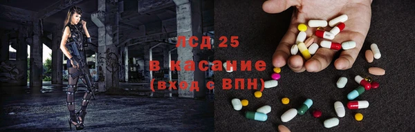 ГАЛЛЮЦИНОГЕННЫЕ ГРИБЫ Арсеньев